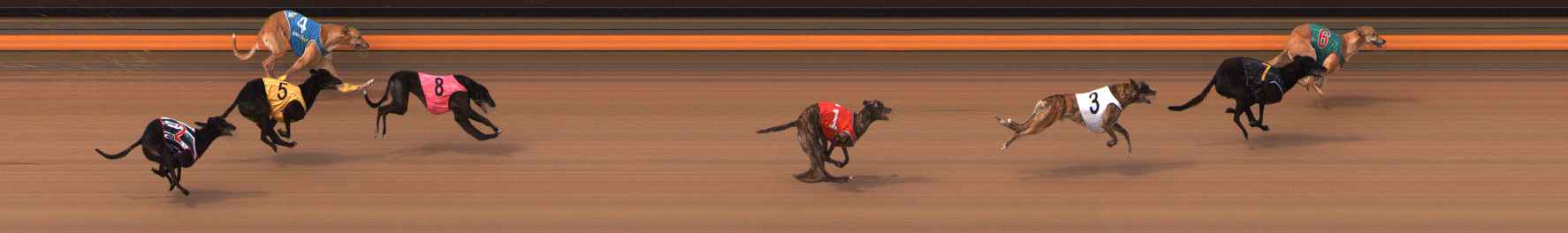 Photo finish for Ballarat Race 11