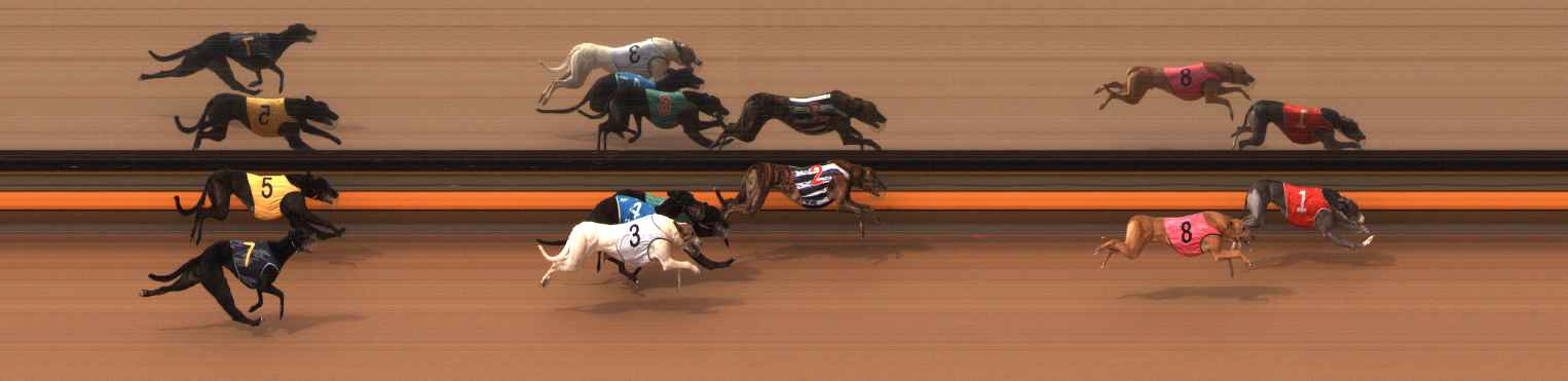 Photo finish for Ballarat Race 13