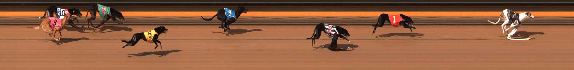 Photo finish for Ballarat Race 14