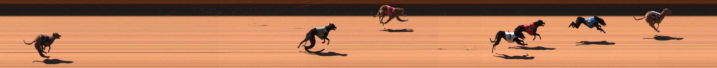 Photo finish for Ballarat Race 1