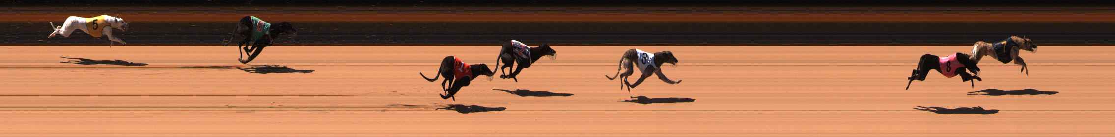 Photo finish for Ballarat Race 2