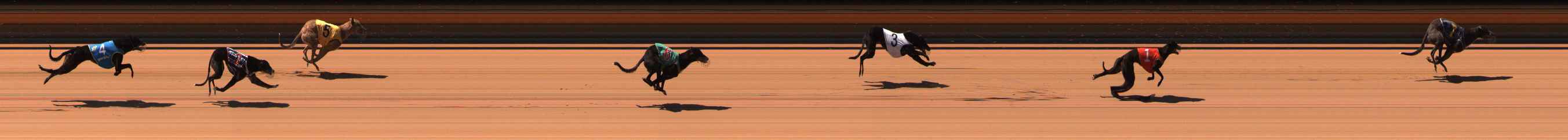 Photo finish for Ballarat Race 3
