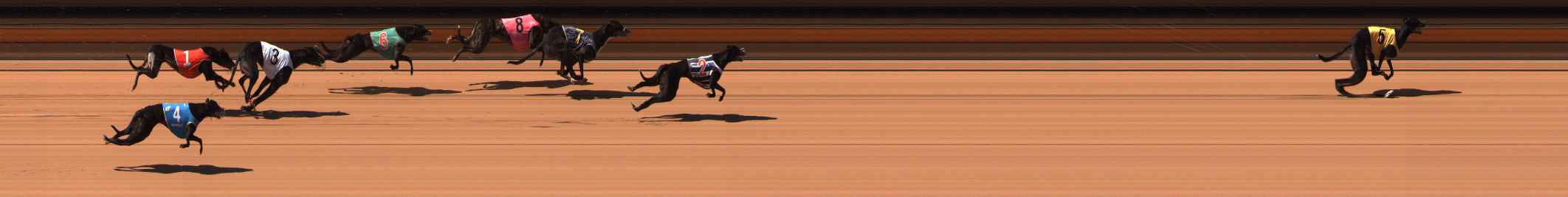 Photo finish for Ballarat Race 5