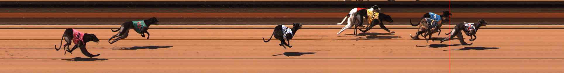 Photo finish for Ballarat Race 6