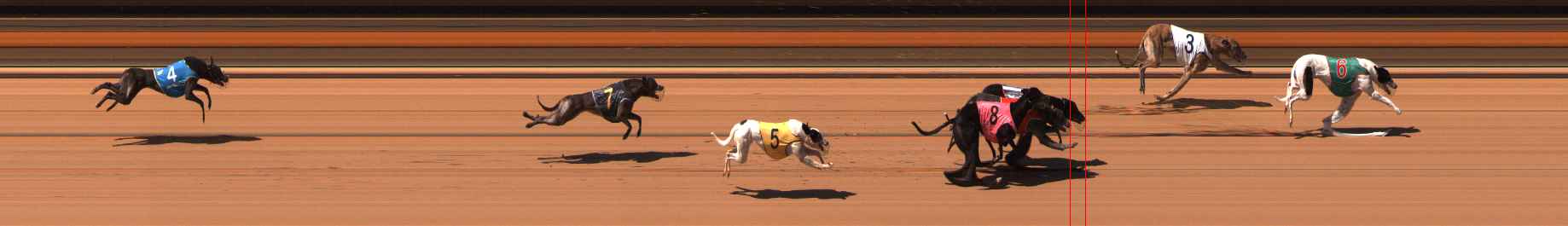 Photo finish for Ballarat Race 7