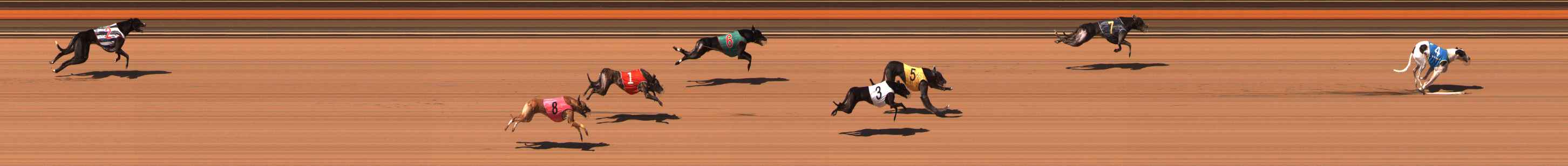 Photo finish for Ballarat Race 8