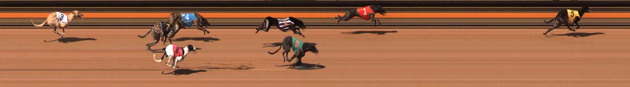 Photo finish for Ballarat Race 9