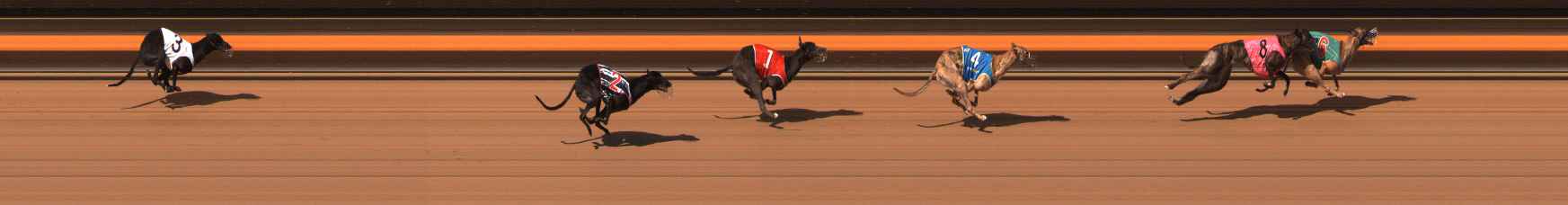 Photo finish for Ballarat Race 10