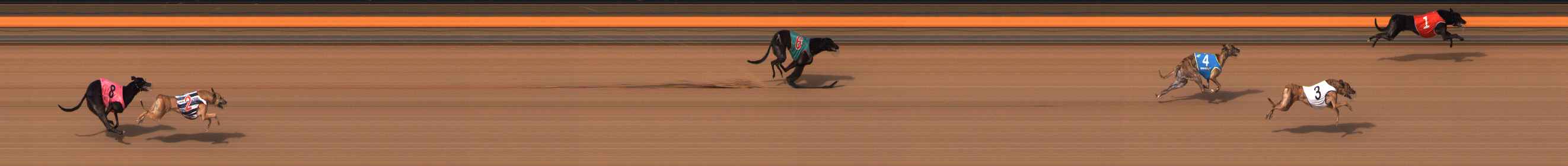 Photo finish for Ballarat Race 11
