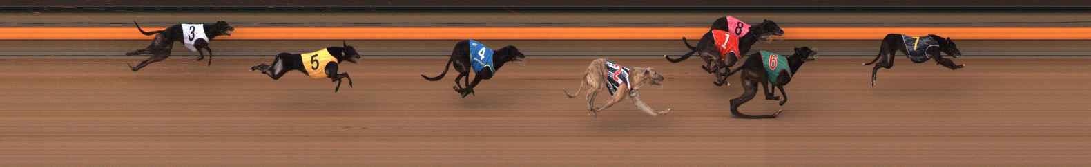 Photo finish for Ballarat Race 12