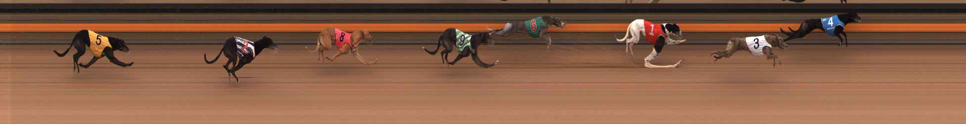 Photo finish for Ballarat Race 13