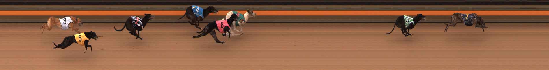 Photo finish for Ballarat Race 14