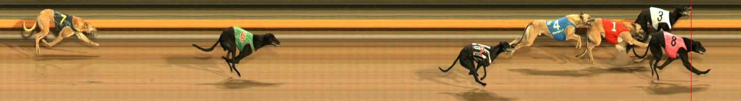Photo finish for Ballarat Race 2