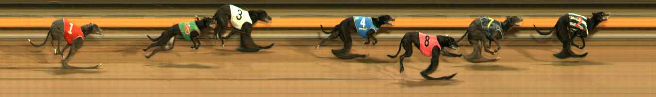 Photo finish for Ballarat Race 4