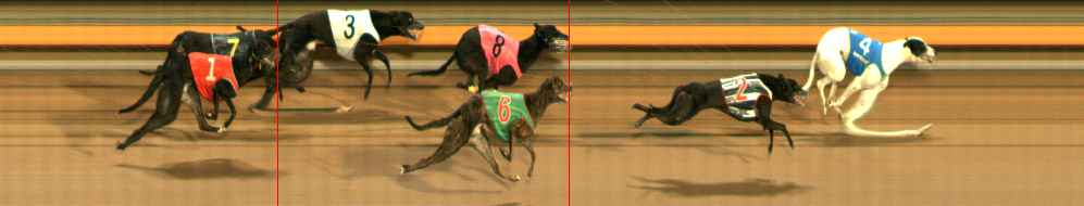 Photo finish for Ballarat Race 6