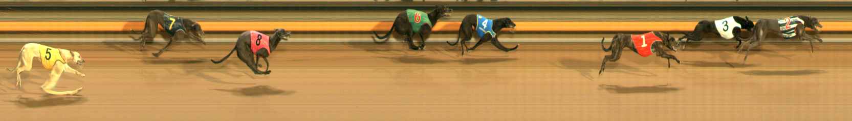 Photo finish for Ballarat Race 11
