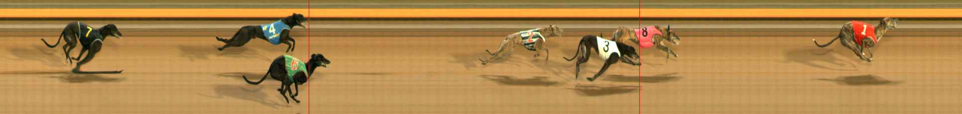 Photo finish for Ballarat Race 8