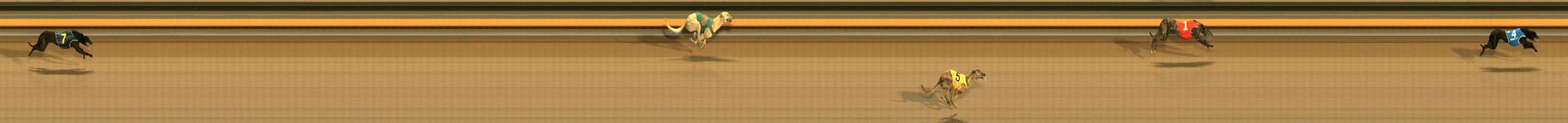 Photo finish for Ballarat Race 11