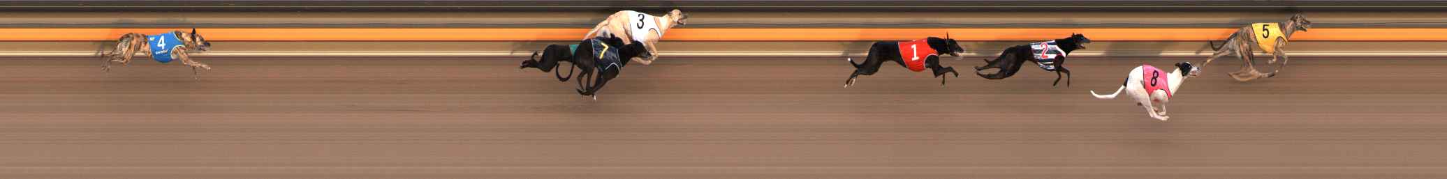 Race result finish photo