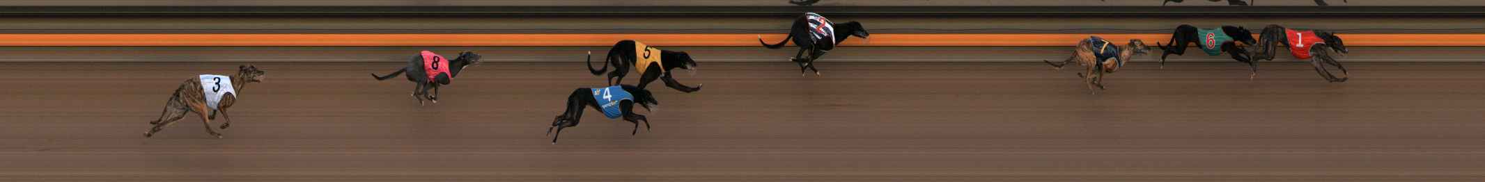 Photo finish for Ballarat Race 2