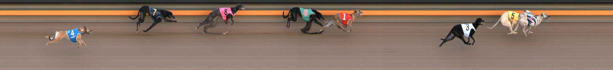 Photo finish for Ballarat Race 3