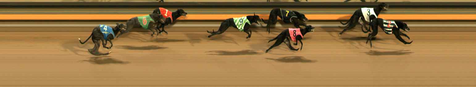 Photo finish for Ballarat Race 6
