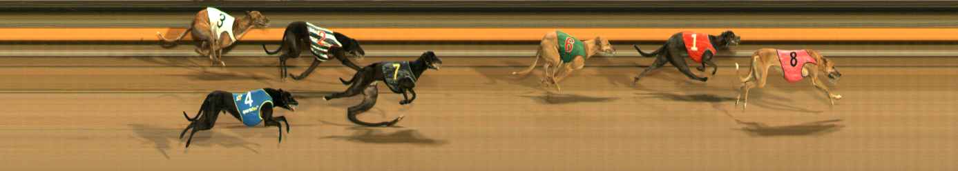 Photo finish for Ballarat Race 7