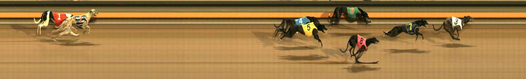 Photo finish for Ballarat Race 8