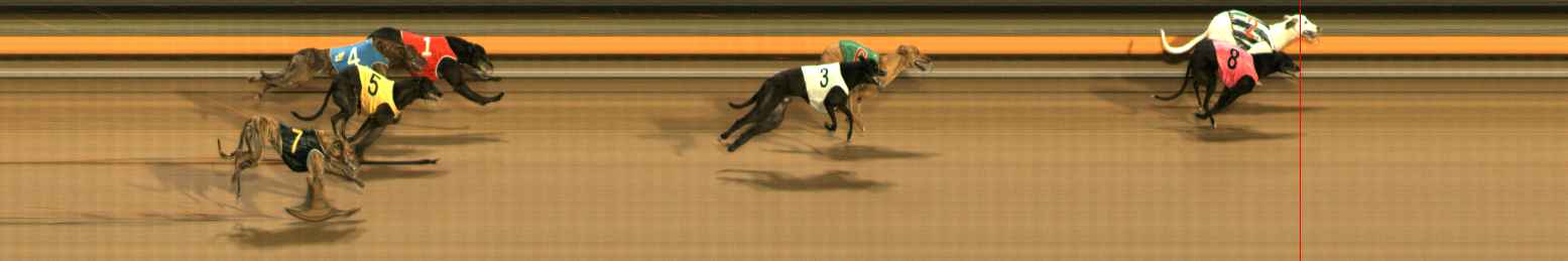 Photo finish for Ballarat Race 10