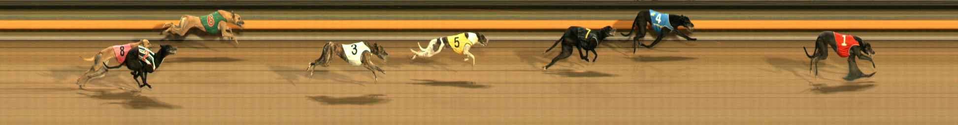 Race result finish photo