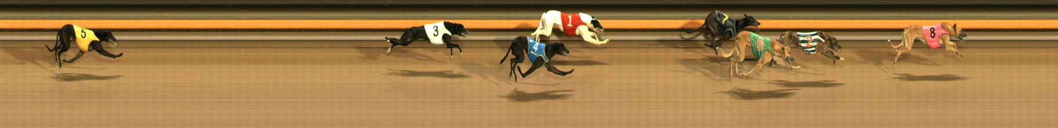 Photo finish for Ballarat Race 12