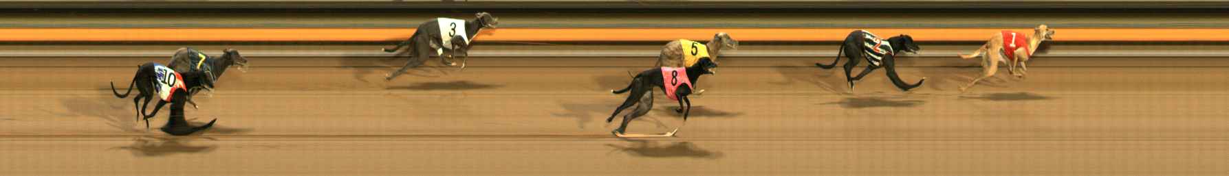 Photo finish for Ballarat Race 13