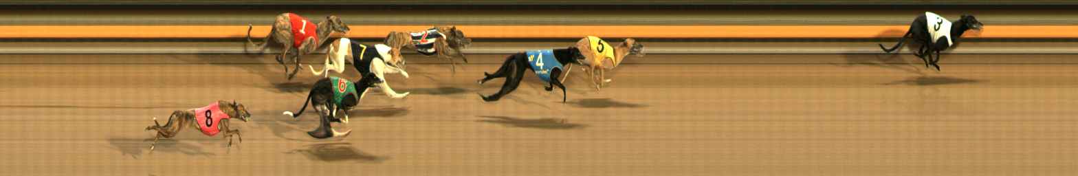 Photo finish for Ballarat Race 14