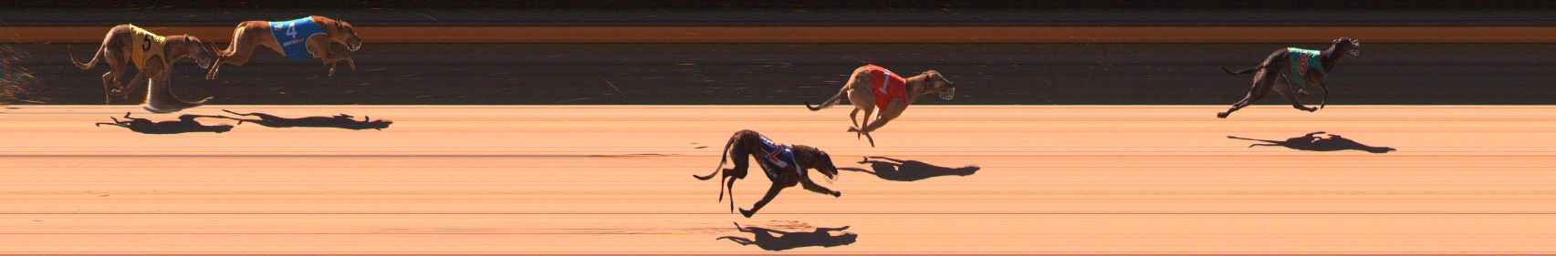 Race result finish photo