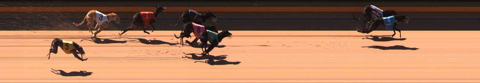 Photo finish for Ballarat Race 2