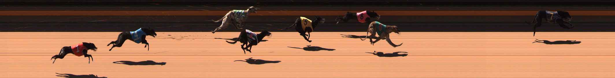 Photo finish for Ballarat Race 3