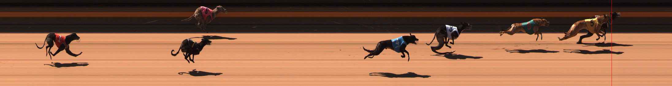 Photo finish for Ballarat Race 4