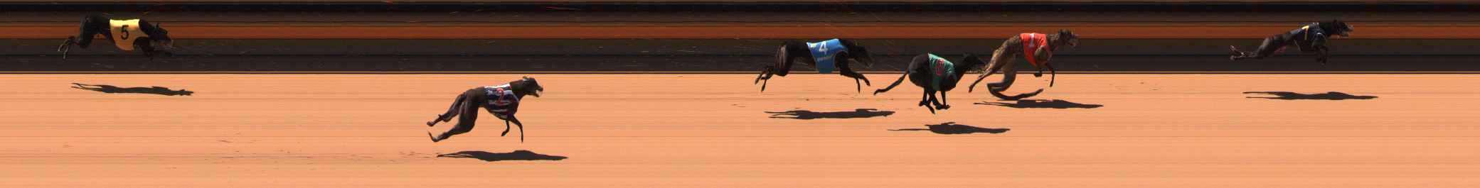 Photo finish for Ballarat Race 5