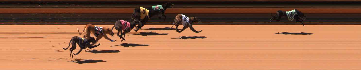 Photo finish for Ballarat Race 6