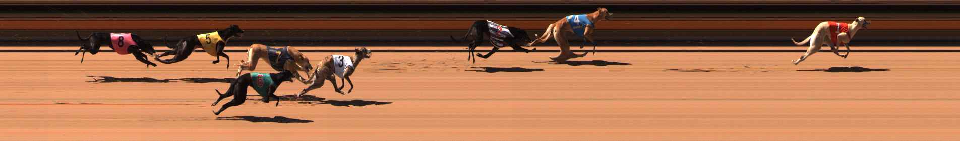 Photo finish for Ballarat Race 7