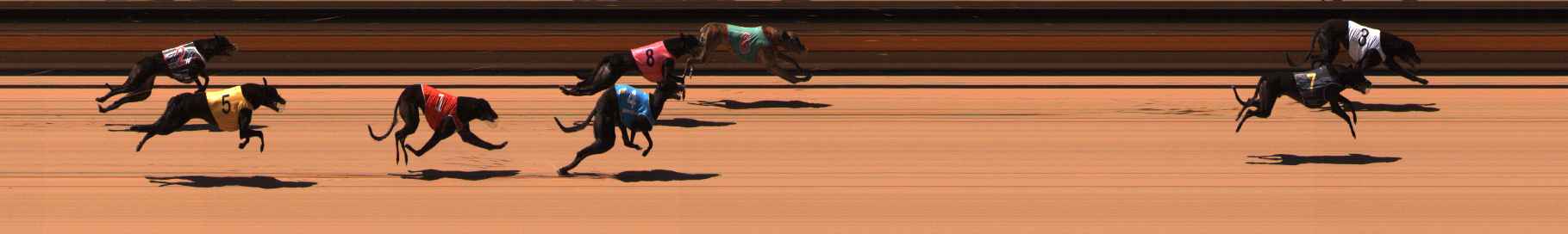 Photo finish for Ballarat Race 8