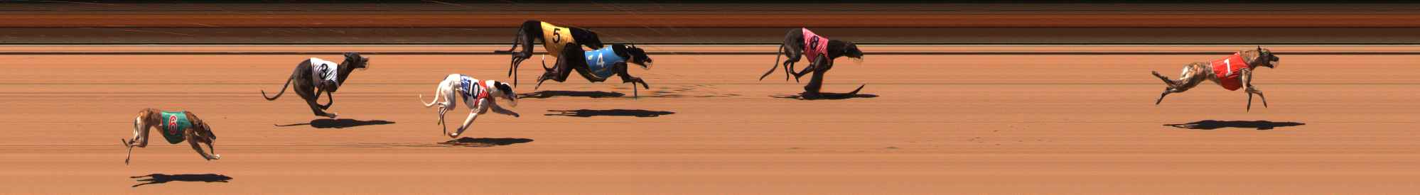 Photo finish for Ballarat Race 10