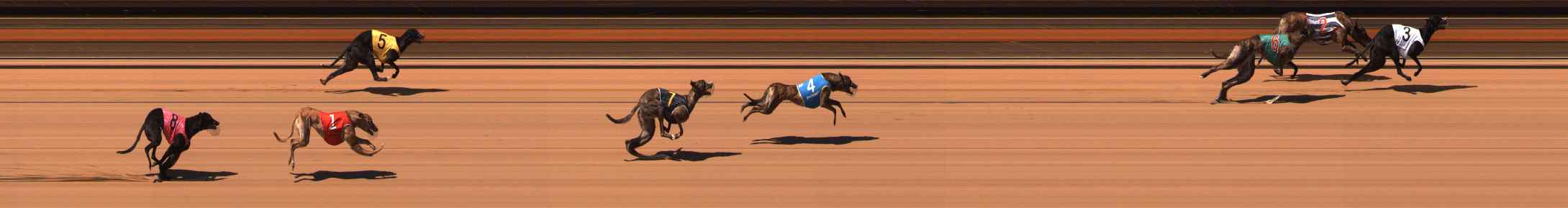 Photo finish for Ballarat Race 11