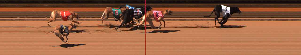 Photo finish for Ballarat Race 12