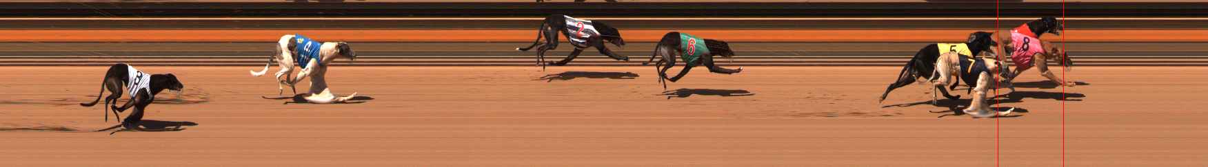 Photo finish for Ballarat Race 13