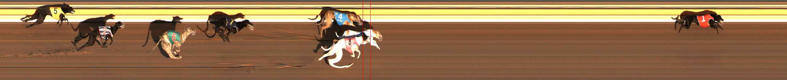 Race result finish photo