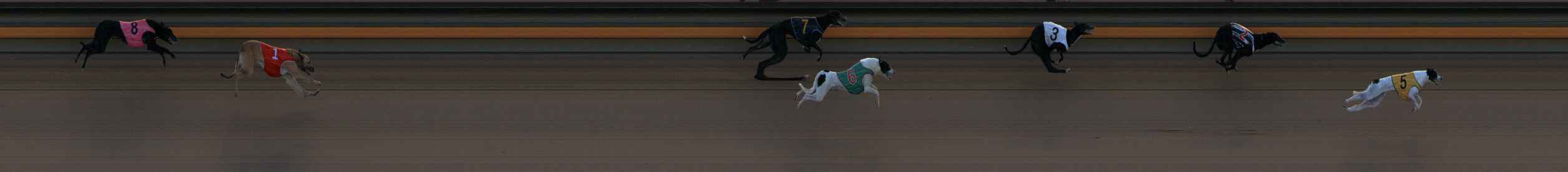 Photo finish for Ballarat Race 2