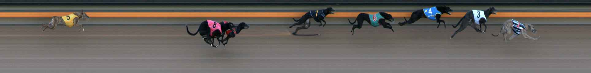Photo finish for Ballarat Race 3