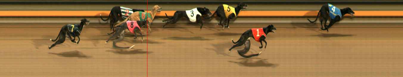 Photo finish for Ballarat Race 5