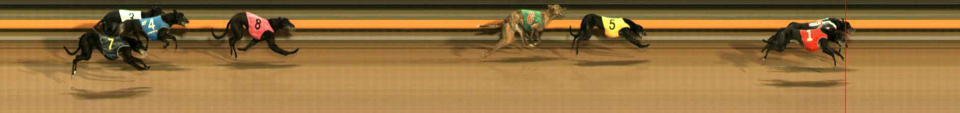 Photo finish for Ballarat Race 8